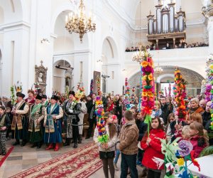 Galeria - Niedziela Palmowa 2015 Galeria - Niedziela Palmowa 2015