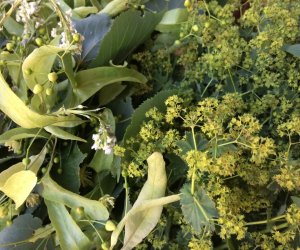 Wianki w Oktawę Bożego Ciała Wianki w Oktawę Bożego Ciała