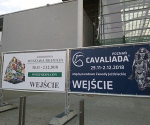 Narodowa Wystawa Rolnicza w Poznaniu Narodowa Wystawa Rolnicza w Poznaniu