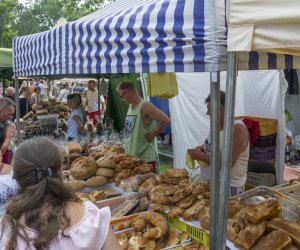 XX Podlaskie Święto Chleba - fotorelacja XX Podlaskie Święto Chleba - fotorelacja