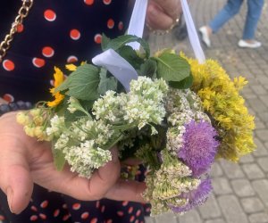 NIECOdziennik Muzealny - Żywa tradycja NIECOdziennik Muzealny - Żywa tradycja