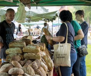 XVI Podlaskie Święto Chleba XVI Podlaskie Święto Chleba