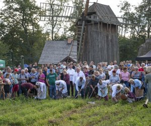 „Jesień w polu i zagrodzie” 2023 r. - fotorelacja i podsumowanie „Jesień w polu i zagrodzie” 2023 r. - fotorelacja i podsumowanie