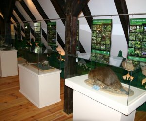 Nasza przyroda, Zagrożenia, cele i formy jej ochrony
