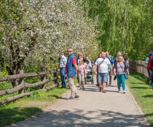 Jarmark św. Wojciecha 2024 - fotorelacja Jarmark św. Wojciecha 2024 - fotorelacja