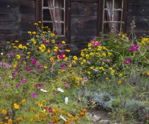 NIECOdziennik muzealny - Wieś w październiku NIECOdziennik muzealny - Wieś w październiku