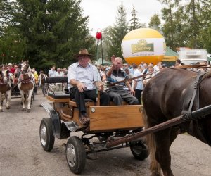 XVI Podlaskie Święto Chleba XVI Podlaskie Święto Chleba