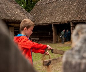 Jesień w polu i zagrodzie Jesień w polu i zagrodzie
