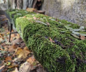 NIECOdziennik Muzealny - Ogrody Wiecznej Pamięci