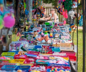 Odpust na św. Antoniego 2016