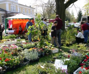 Codziennik Muzealny - Jarmark św. Wojciecha Codziennik Muzealny - Jarmark św. Wojciecha