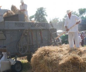 IX Podlaskie Święto Chleba IX Podlaskie Święto Chleba