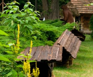 DZIAŁ TRADYCJI ZIELARSKICH DZIAŁ TRADYCJI ZIELARSKICH