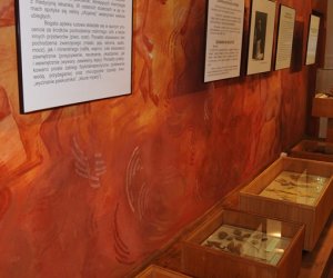 Odnowiona ekspozycja Muzeum Weterynarii Odnowiona ekspozycja Muzeum Weterynarii