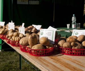 JESIEŃ W POLU I ZAGRODZIE w ramach Europejskich Dni Dziedzictwa 18 września 2016 r. JESIEŃ W POLU I ZAGRODZIE w ramach Europejskich Dni Dziedzictwa 18 września 2016 r.