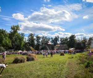 XVIII Podlaskie Święto Chleba - fotorelacja XVIII Podlaskie Święto Chleba - fotorelacja
