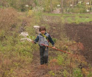 Wykopki w Skansenie 2013 Wykopki w Skansenie 2013
