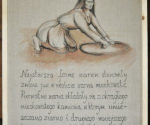 Inwentaryzacja w Skansenie Inwentaryzacja w Skansenie