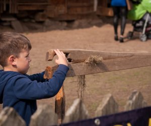 Impreza plenerowa - Jesień w Polu i Zagrodzie Impreza plenerowa - Jesień w Polu i Zagrodzie