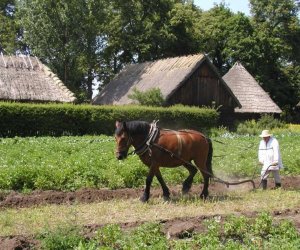 DZIAŁ ETNOGRAFICZNY DZIAŁ ETNOGRAFICZNY