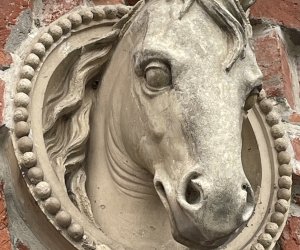 NIECOdziennik Muzealny- Na koń! Hrabia Starzeński i sztuka jazdy konnej NIECOdziennik Muzealny- Na koń! Hrabia Starzeński i sztuka jazdy konnej