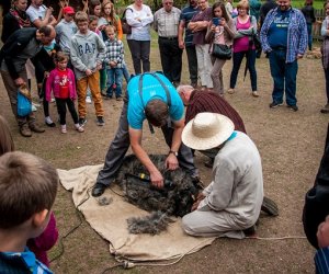 Jesień w polu i zagrodzie Jesień w polu i zagrodzie