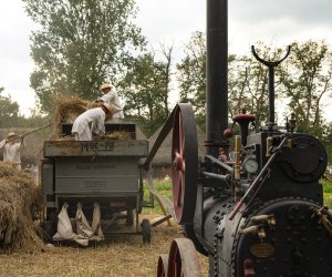 XXIII Podlaskie Święto Chleba - fotorelacja XXIII Podlaskie Święto Chleba - fotorelacja