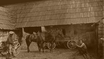 Wernisaż wystawy "Społeczne skutki wielkiej wojny 1914-1918 w świetle dokumentów archiwalnych