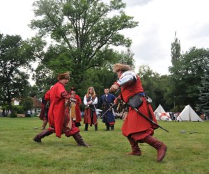 VIII Zajazd Wysokomazowiecki, 15.07.2012.