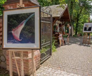 14 Zajazd Wysokomazowiecki - fotorelacja 14 Zajazd Wysokomazowiecki - fotorelacja