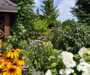 "Kwitnące Tradycje" "Kwitnące Tradycje"