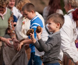 Impreza plenerowa - Jesień w Polu i Zagrodzie Impreza plenerowa - Jesień w Polu i Zagrodzie