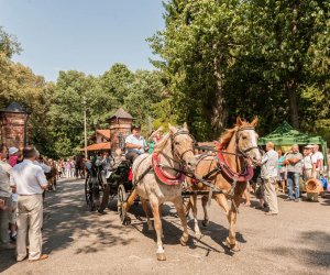 Święto Chleba po raz trzynasty Święto Chleba po raz trzynasty