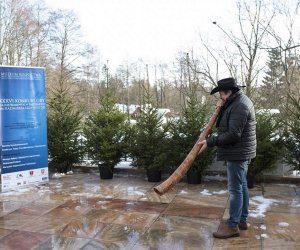 LIGAWKI 2016 - Fotorelacja z konkursu LIGAWKI 2016 - Fotorelacja z konkursu
