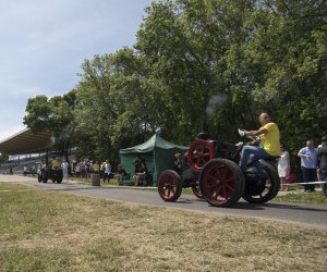 Piknik "Poznaj Zdrową Żywność" - fotorelacja