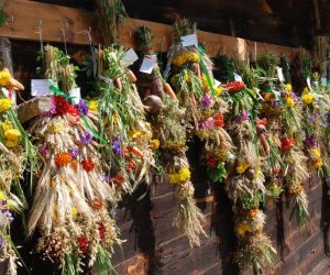 IX Podlaskie Święto Chleba IX Podlaskie Święto Chleba