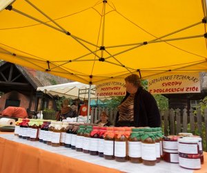 JESIEŃ W POLU I ZAGRODZIE JESIEŃ W POLU I ZAGRODZIE