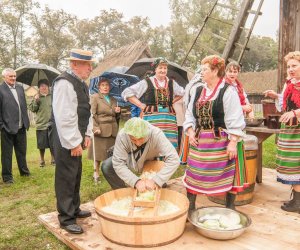 Wykopki w Skansenie 2013 Wykopki w Skansenie 2013