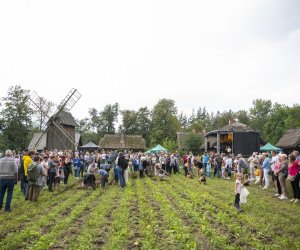 Jesień w polu i zagrodzie - fotorelacja - 15 września 2024 Jesień w polu i zagrodzie - fotorelacja - 15 września 2024