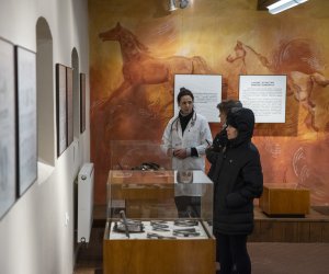 NOC MUZEÓW 2025 | Noc Tajemnic - fotorelacja NOC MUZEÓW 2025 | Noc Tajemnic - fotorelacja