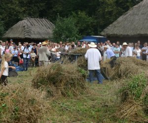 VII PODLASKIE ŚWIĘTO CHLEBA VII PODLASKIE ŚWIĘTO CHLEBA