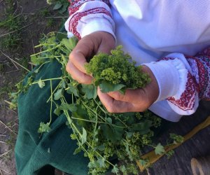 Wianki w Oktawę Bożego Ciała Wianki w Oktawę Bożego Ciała