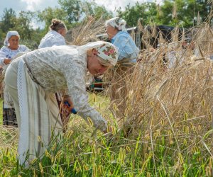 XXII Podlaskie Święto Chleba - fotorelacja XXII Podlaskie Święto Chleba - fotorelacja