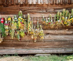 Konkurs na wykonanie tradycyjnej równianki - XXIII Podlaskie Święto Chleba Konkurs na wykonanie tradycyjnej równianki - XXIII Podlaskie Święto Chleba