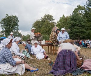 XVI Podlaskie Święto Chleba XVI Podlaskie Święto Chleba