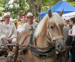 XVI Podlaskie Święto Chleba XVI Podlaskie Święto Chleba