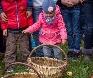 Jesień w Polu i Zagrodzie 2018 - fotorelacja Jesień w Polu i Zagrodzie 2018 - fotorelacja