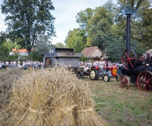 XVIII Podlaskie Święto Chleba - fotorelacja XVIII Podlaskie Święto Chleba - fotorelacja