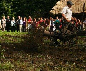 Wykopki w skansenie 2009