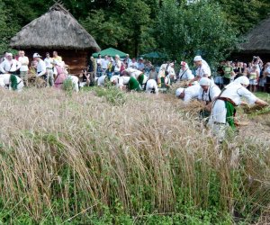 X PODLASKIE ŚWIĘTO CHLEBA